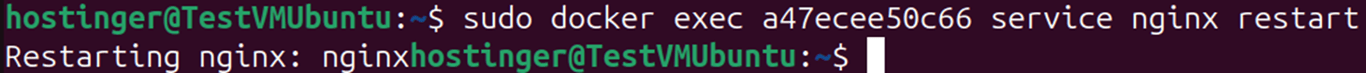 Terminal output showing docker exec command to restart NGINX