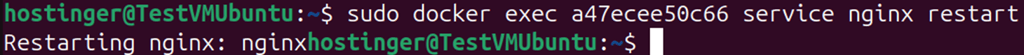 Terminal output showing docker exec command to restart NGINX