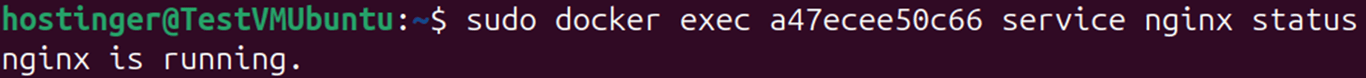 Terminal output of docker exec service nginx status command