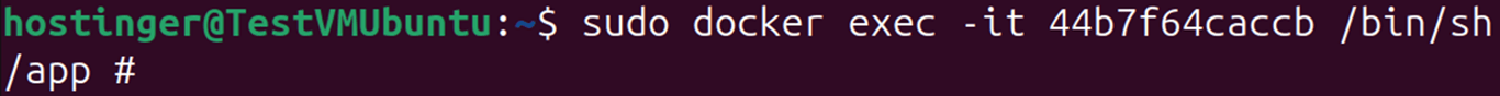 Terminal window showing docker exec command with /bin/sh