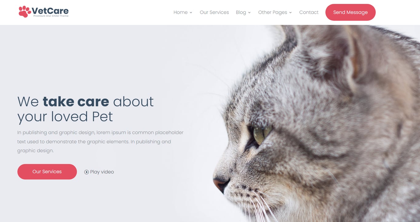 Close-up of a cat's face with a soft focus background, showcasing a caring pet service website's design and message.