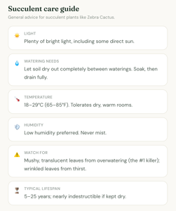 Lovable alternatives - features Succulent care guide showing recommendations for light, watering, temperature, humidity, warning signs, and typical lifespan.