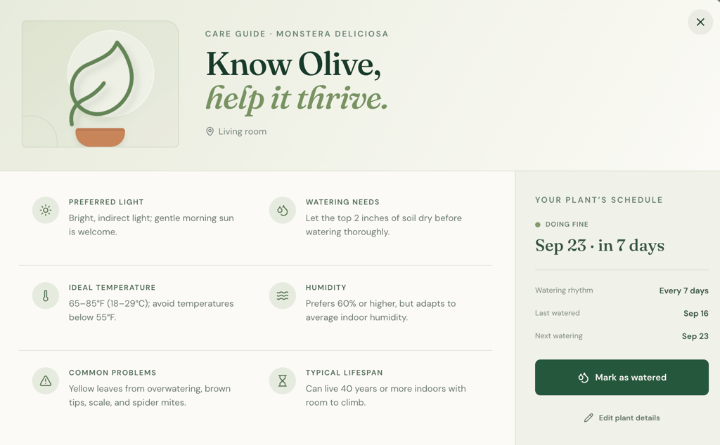 Lovable alternatives - new featrue netify Monstera care guide for Olive showing preferred light, watering needs, temperature, humidity, common problems, lifespan, and its current watering schedule.