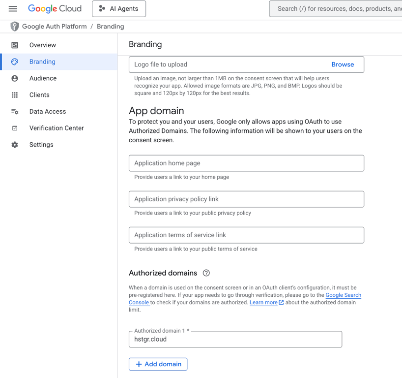 The Authroized Domains configuration menu on Google Cloud Console