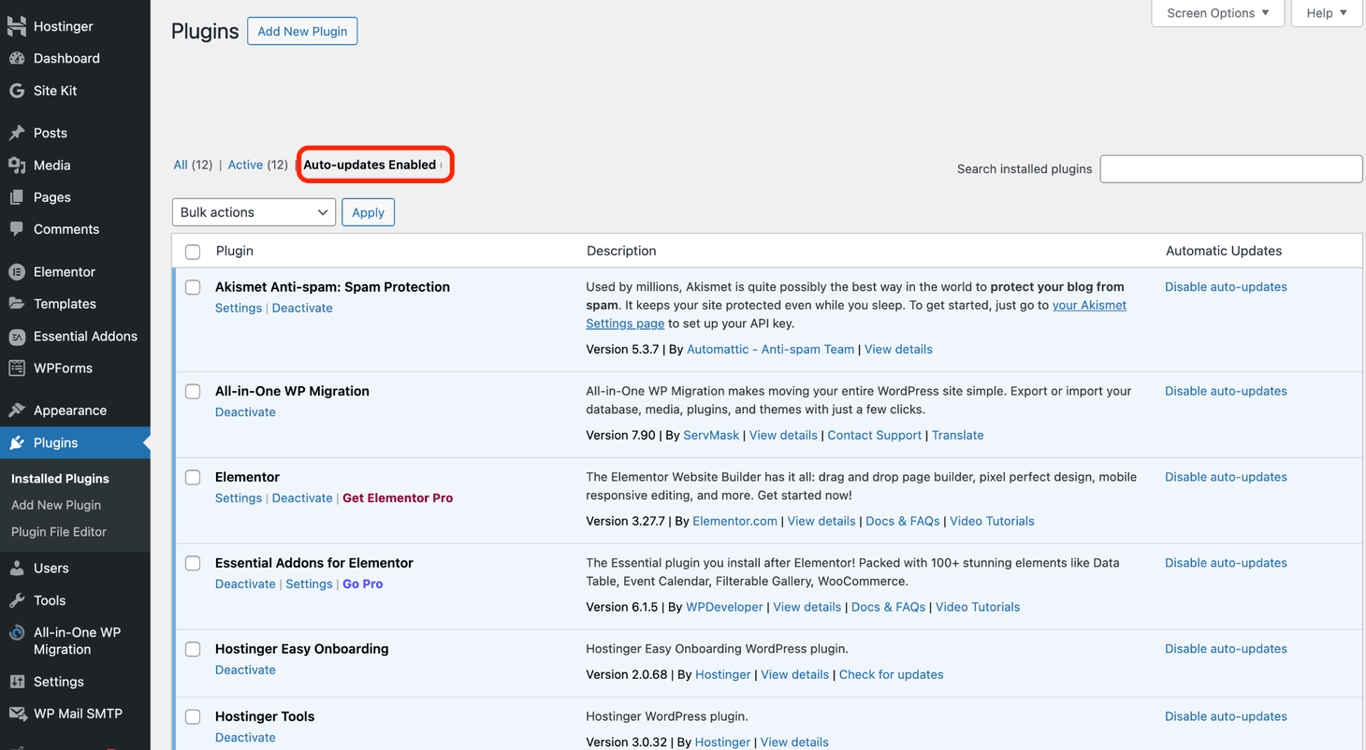 WordPress dashboard showing the section with options to auto-update plugins.