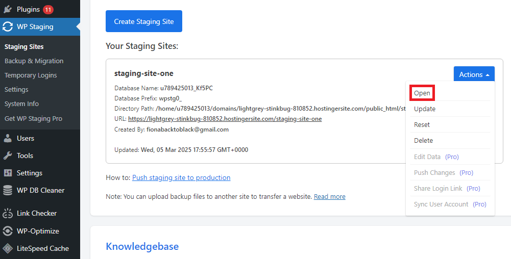 Dashboard view showcasing a WordPress staging site with options to open, update, reset, and delete the site.