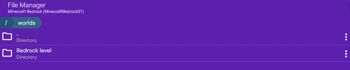 Image of the Minecraft server files with a recreated empty Bedrock level directory.