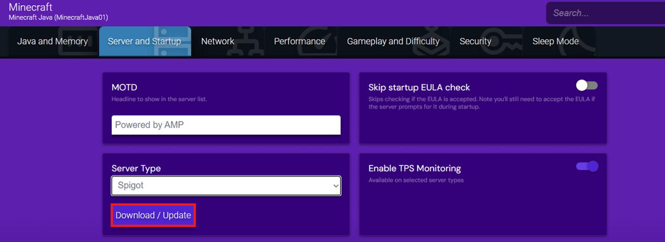 Visual of the Minecraft Java instance's configuration interface's Server and Startup section, with the Download/Update button highlighted for the Server Type change.