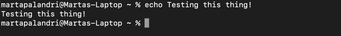 Simply add a string after the echo command to print it to your terminal.