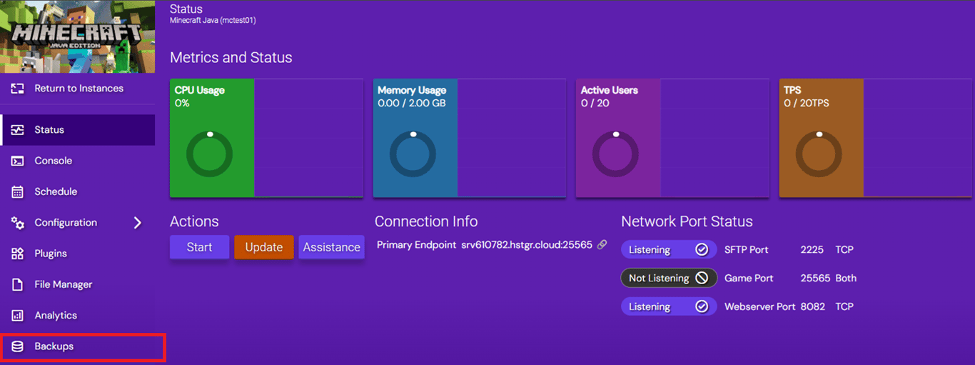 Minecraft Java Instance view with the Backups section highlighted in the left-hand menu.