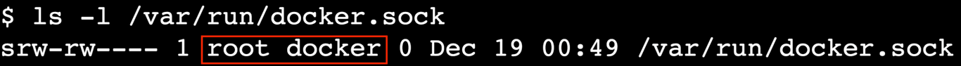 Terminal output showing docker.sock owned by root and docker group