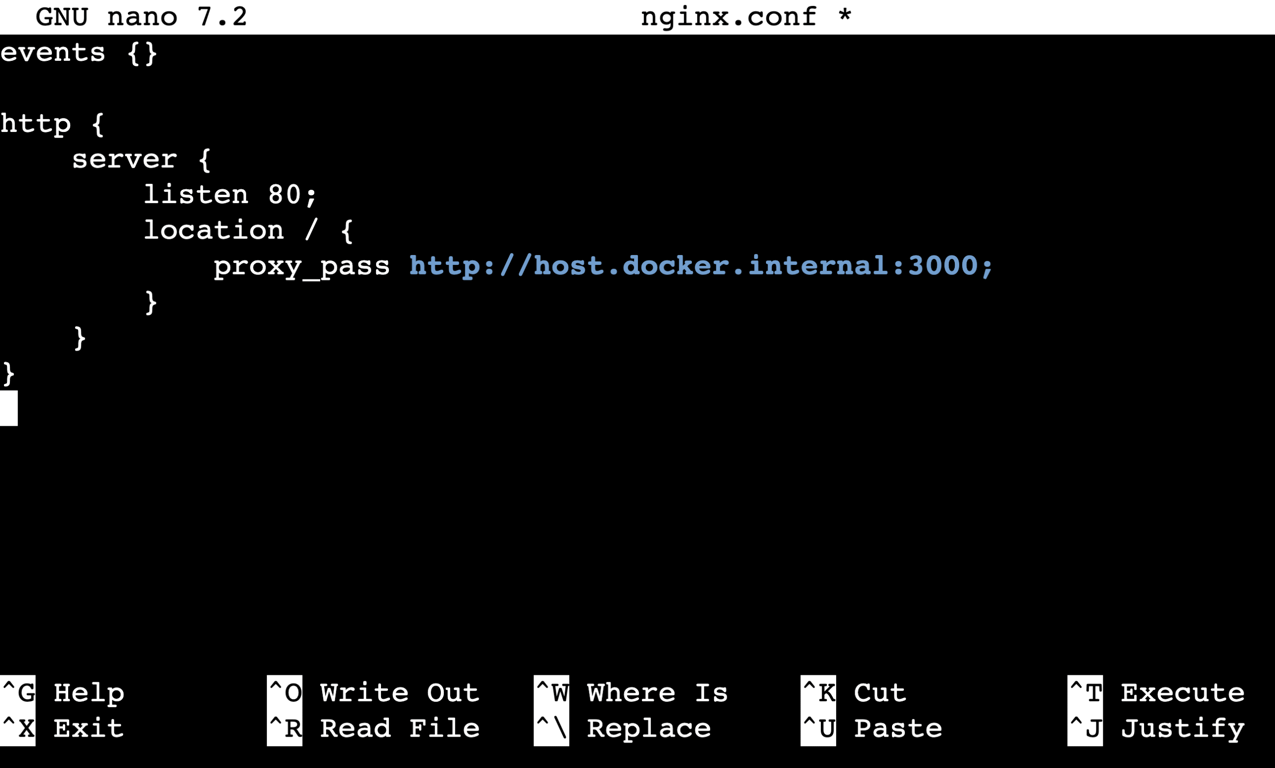 Nano editor displaying custom nginx.conf reverse proxy configuration