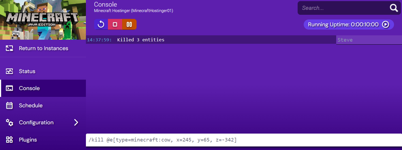 Output of the successful execution of the command in the server's console in Game Panel.