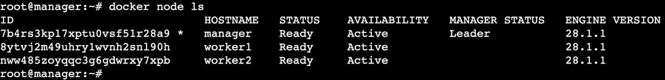 A terminal output showing a list of connected nodes to a swarm