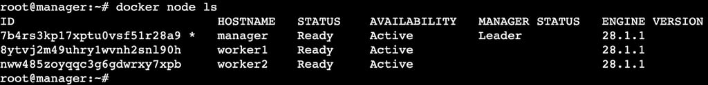 A terminal output showing a list of connected nodes to a swarm