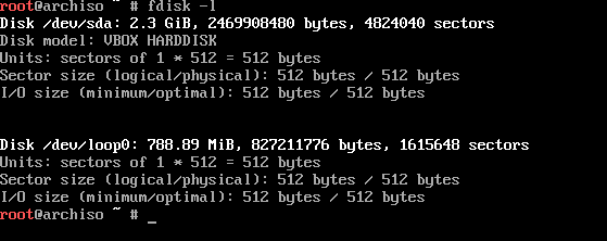 List of disks in an Arch Linux system
