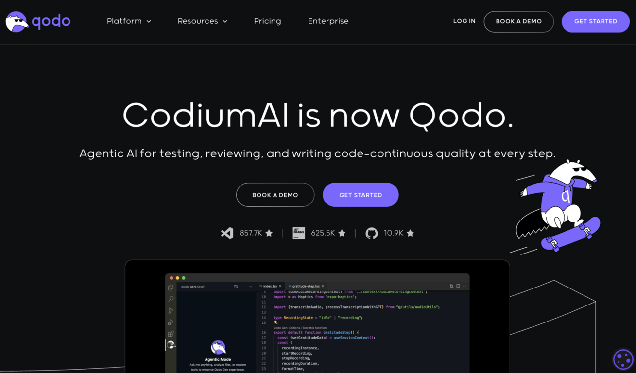 Homepage of Qodo