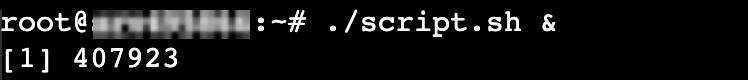 Shell script's process ID on terminal