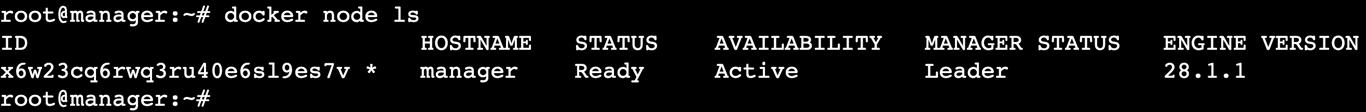 A terminal output showing the listed swarm nodes