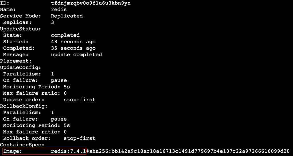 A terminal output showing the installed Docker image version of the redis service