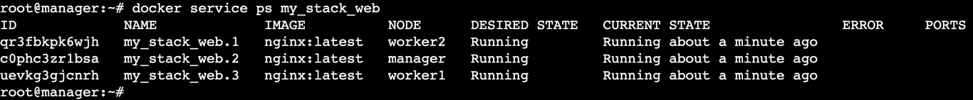 A terminal output showing the web service task details