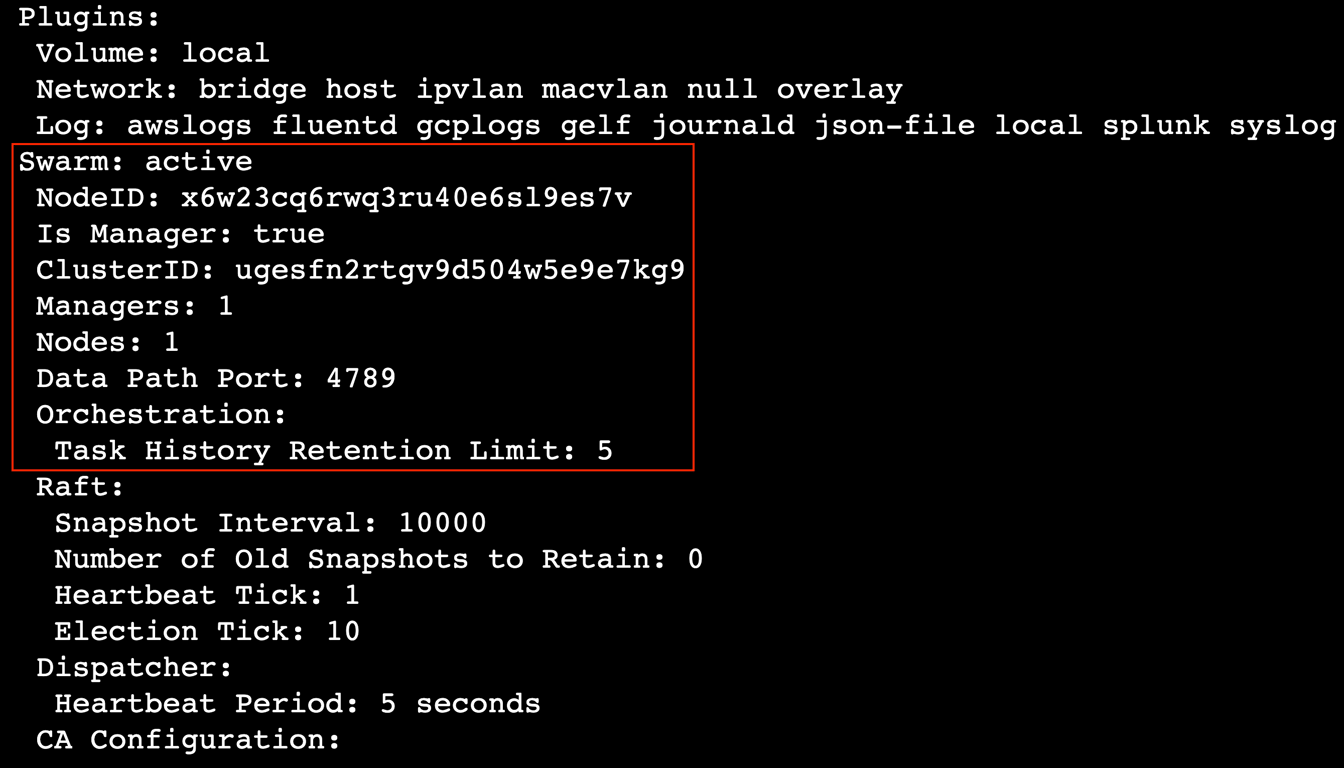 A terminal output showing the swarm state