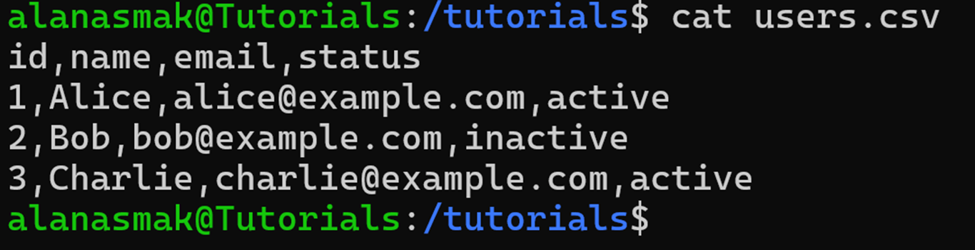Sample users.csv file containing dummy user details on a web application.