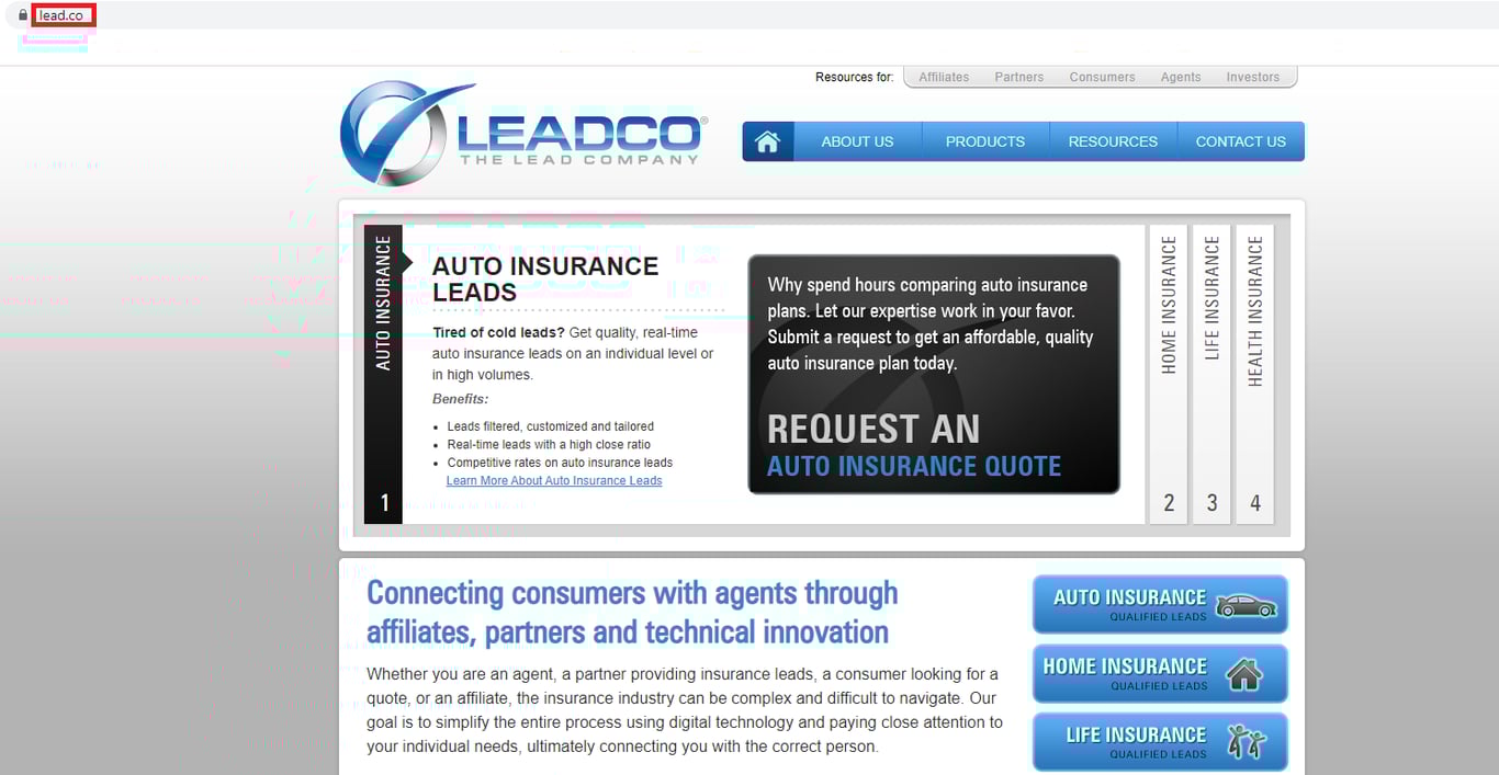 Homepage of Leadco website with the domain name highlighted