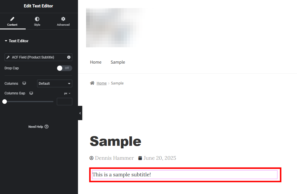 Elementor editor showing the custom field on the frontend