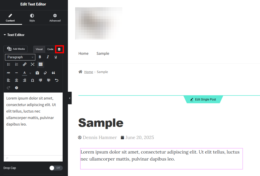 Elementor Text Widget editor with the Dynamic Tags button highlighted