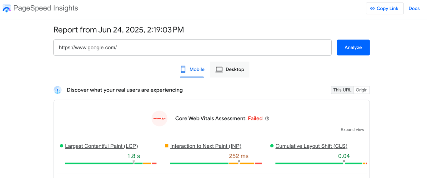 A Google PageSpeed Insights' test result