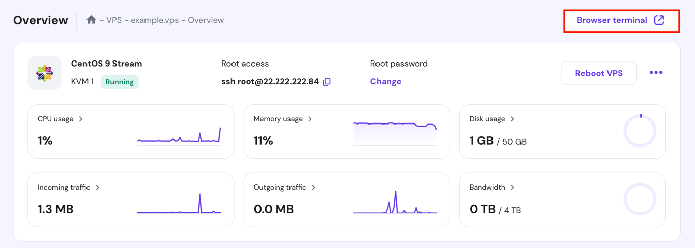 The Browser terminal button in hPanel's VPS Overview page
