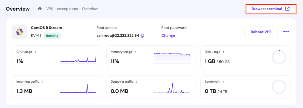 The Browser terminal button in hPanel's VPS Overview page
