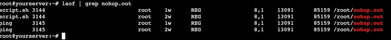 The lsof command checks all nohup processes from its output file