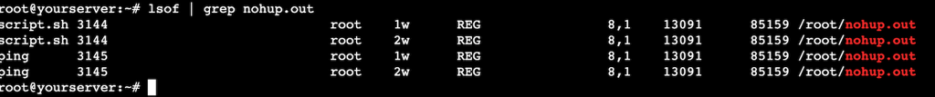 The lsof command checks all nohup processes from its output file