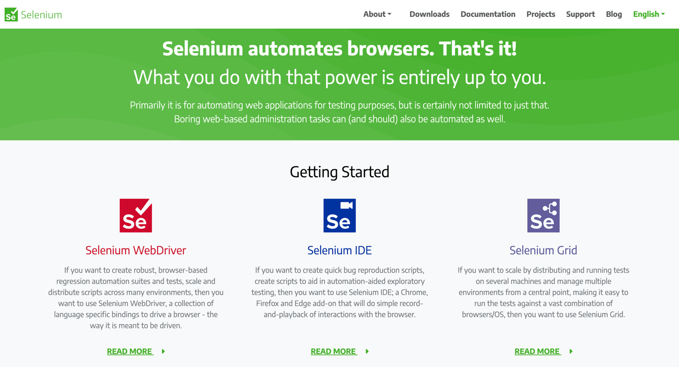 selenium landing page
