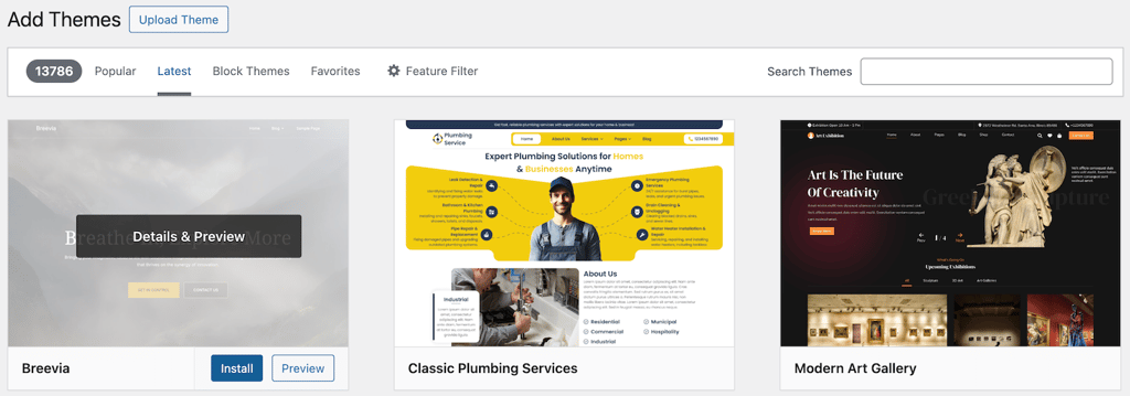The Add Themes menu on WordPress Admin Panel