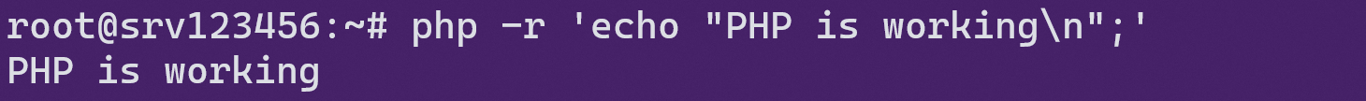 Testing if PHP is working through a terminal command.