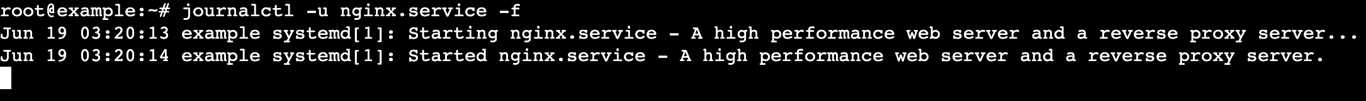 A terminal output shows real-time logs from the NGINX service
