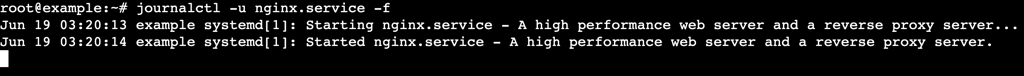 A terminal output shows real-time logs from the NGINX service