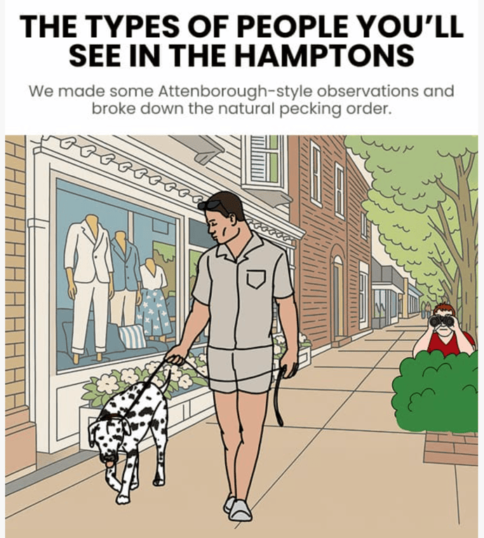 Birddogs email marketing campaign showing headline