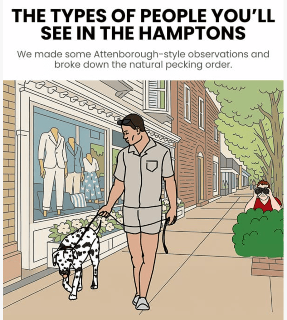Birddogs email marketing campaign showing headline