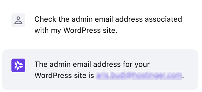 Kodee checks a WordPress website's admin email address
