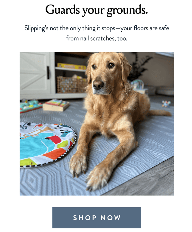 Porte + Hall email marketing campaign addressing customer pain points