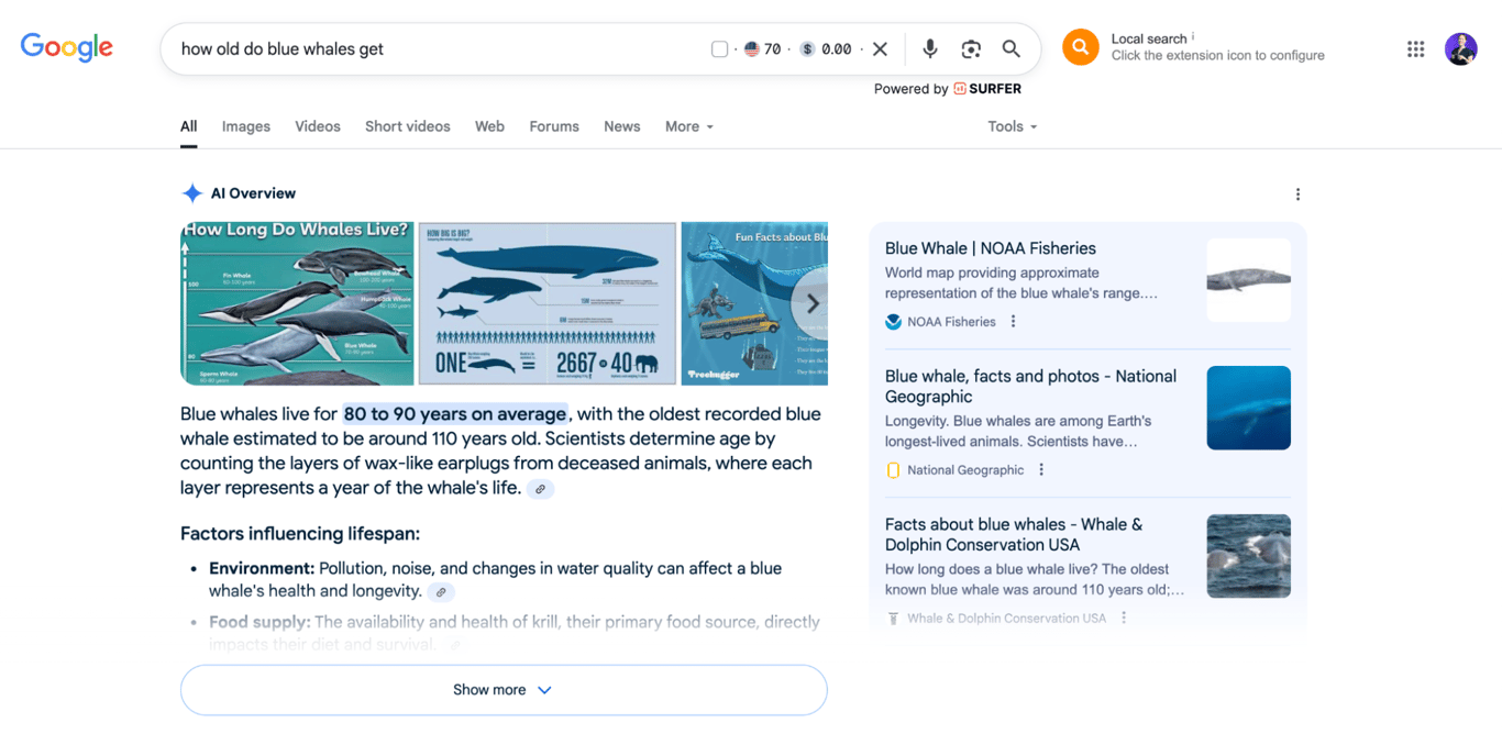 An example of Google AI Overview