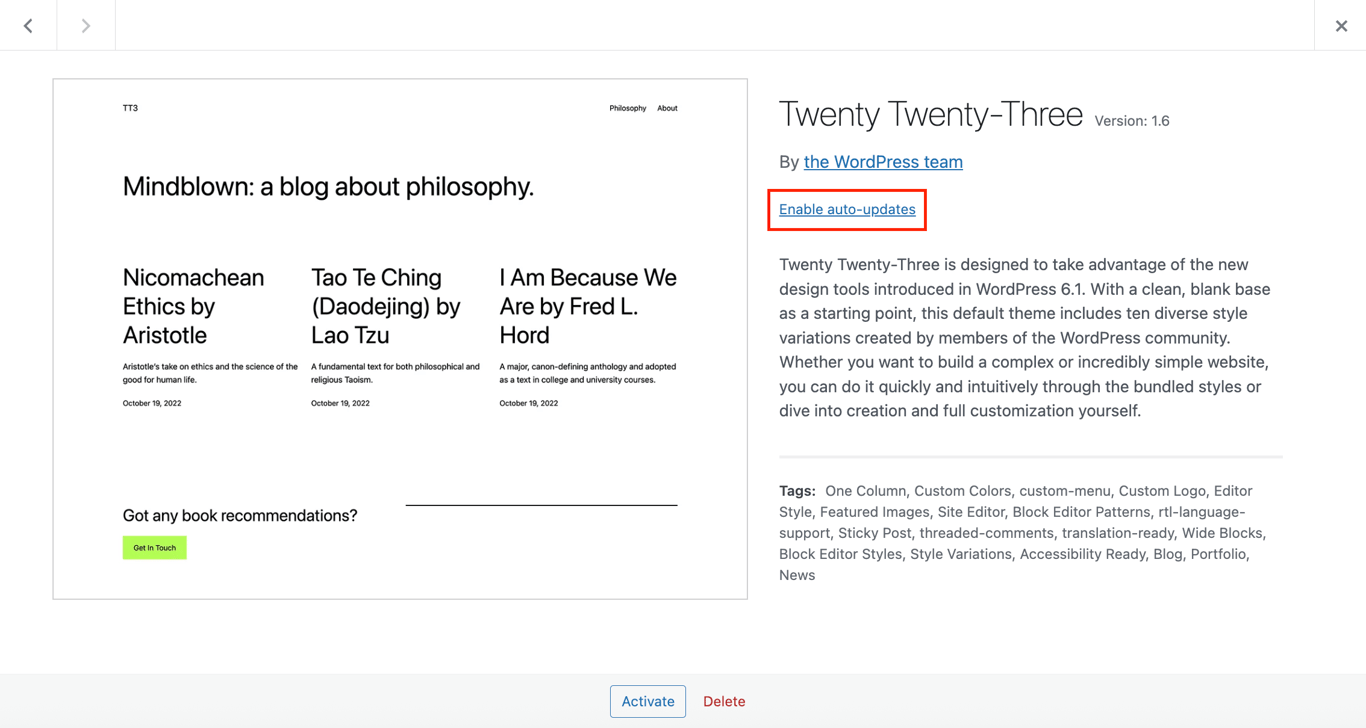 The Enable auto-updates button on a selected WordPress theme
