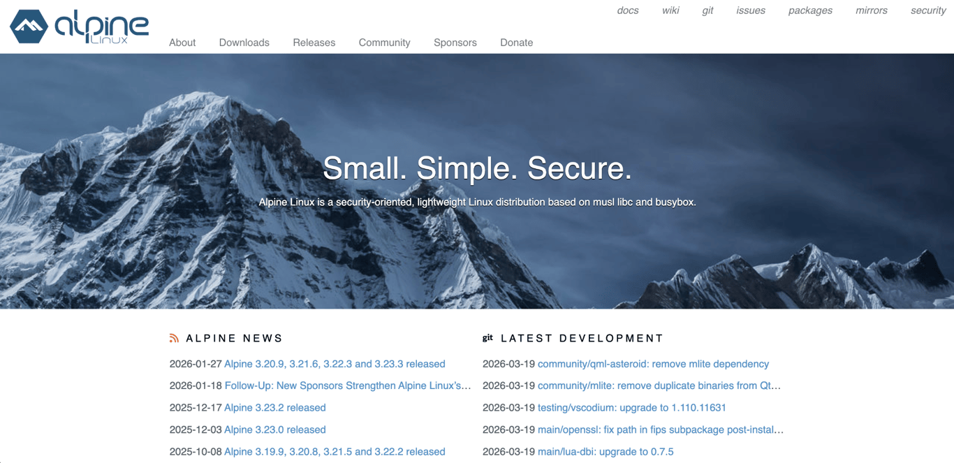 What is the best OS for Docker - Alpine Linux