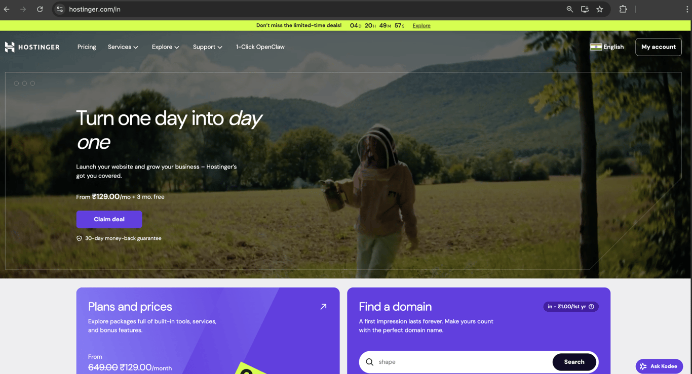 Hostinger's /in home page