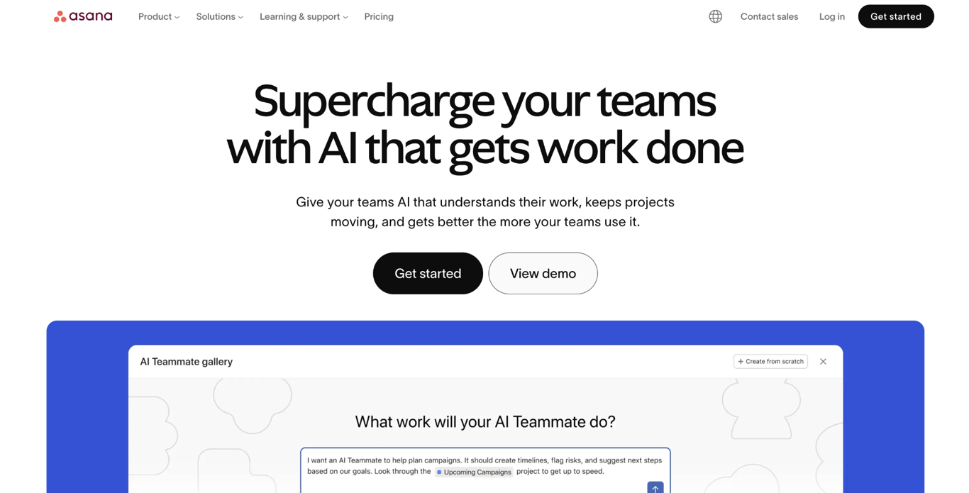 Asana landing page