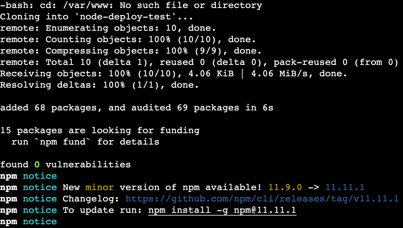 terminal-git-clone-npm-install The git clone and npm install commands' output in the terminal